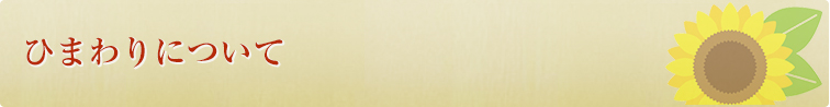 ひまわりについて