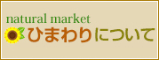 ひまわりについて